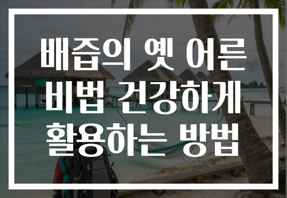 배즙의 옛 어른 비법 건강하게 활용하는 방법