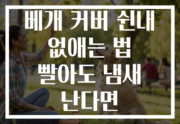 베개 커버 쉰내 없애는 법 빨아도 냄새 난다면