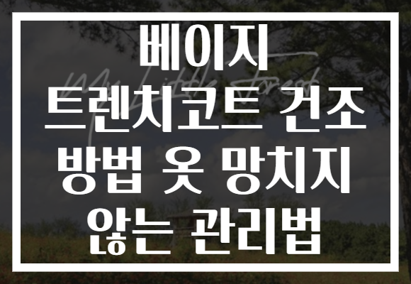 베이지 트렌치코트 건조 방법 옷 망치지 않는 관리법