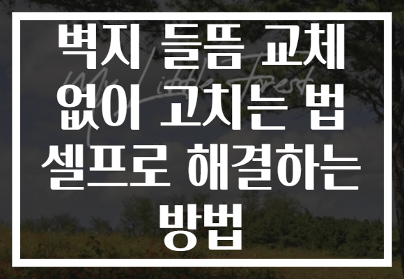 벽지 들뜸 교체 없이 고치는 법 셀프로 해결하는 방법