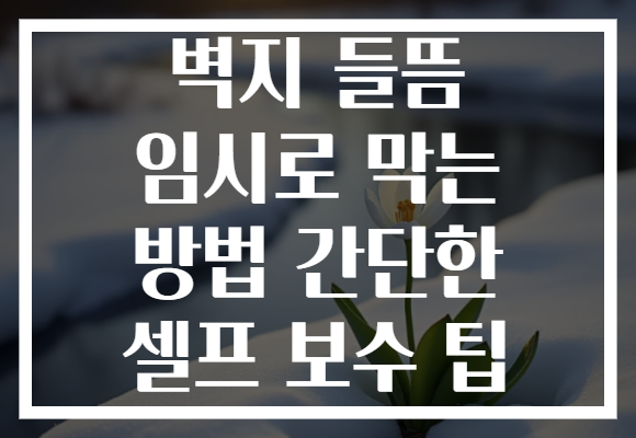벽지 들뜸 임시로 막는 방법 간단한 셀프 보수 팁