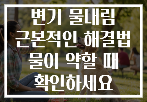 변기 물내림 근본적인 해결법 물이 약할 때 확인하세요