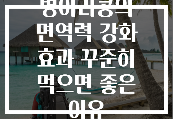 병아리콩의 면역력 강화 효과 꾸준히 먹으면 좋은 이유