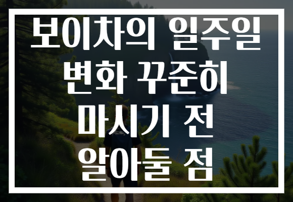 보이차의 일주일 변화 꾸준히 마시기 전 알아둘 점