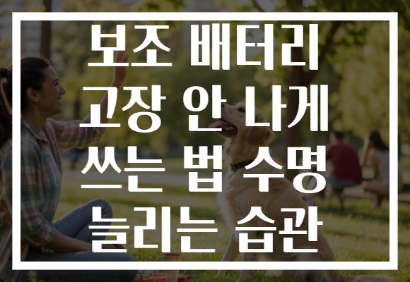 보조 배터리 고장 안 나게 쓰는 법 수명 늘리는 습관