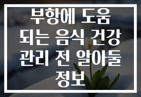 부항에 도움 되는 음식 건강 관리 전 알아둘 정보