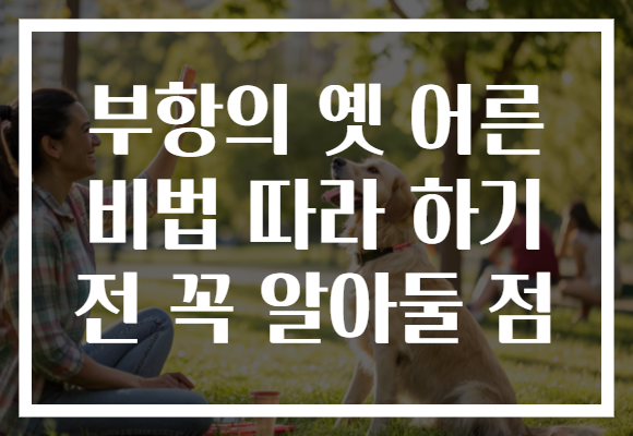 부항의 옛 어른 비법 따라 하기 전 꼭 알아둘 점