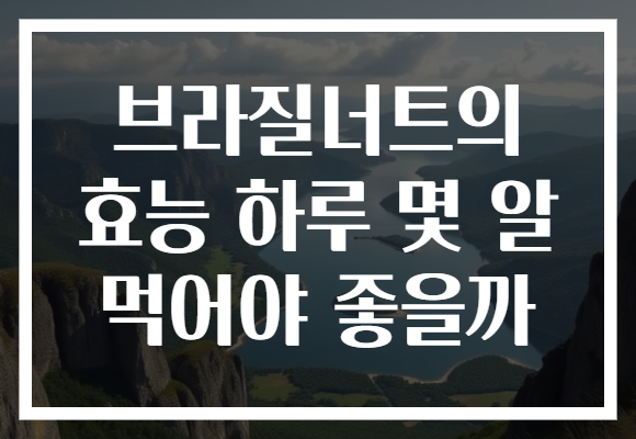 브라질너트의 효능 하루 몇 알 먹어야 좋을까