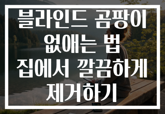 블라인드 곰팡이 없애는 법 집에서 깔끔하게 제거하기