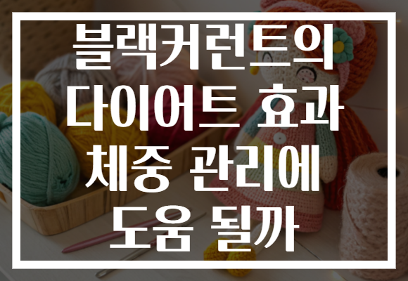 블랙커런트의 다이어트 효과 체중 관리에 도움 될까