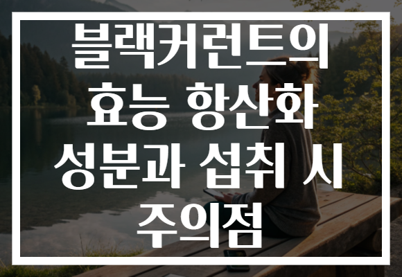 블랙커런트의 효능 항산화 성분과 섭취 시 주의점