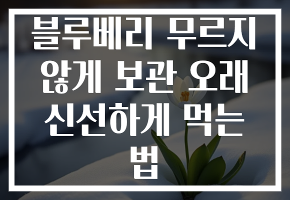 블루베리 무르지 않게 보관 오래 신선하게 먹는 법