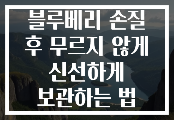 블루베리 손질 후 무르지 않게 신선하게 보관하는 법