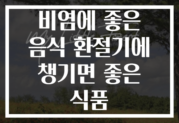 비염에 좋은 음식 환절기에 챙기면 좋은 식품