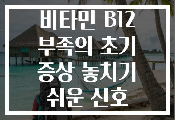 비타민 B12 부족의 초기 증상 놓치기 쉬운 신호