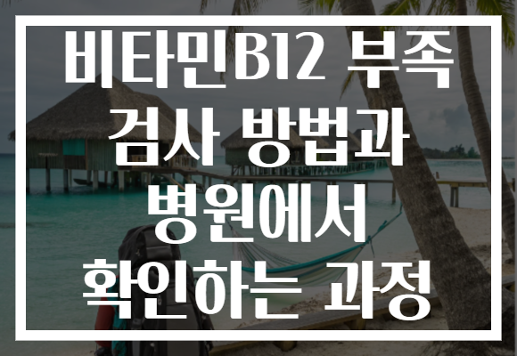 비타민B12 부족 검사 방법과 병원에서 확인하는 과정