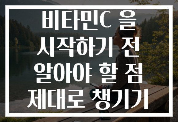 비타민C 을 시작하기 전 알아야 할 점 제대로 챙기기