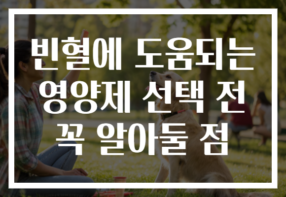 빈혈에 도움되는 영양제 선택 전 꼭 알아둘 점