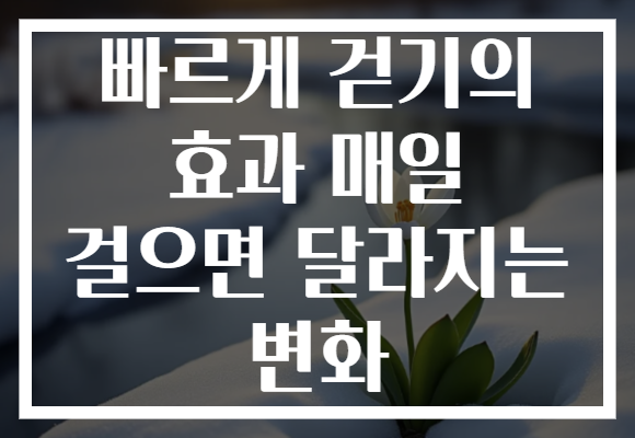 빠르게 걷기의 효과 매일 걸으면 달라지는 변화