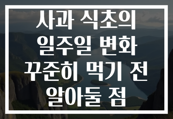 사과 식초의 일주일 변화 꾸준히 먹기 전 알아둘 점