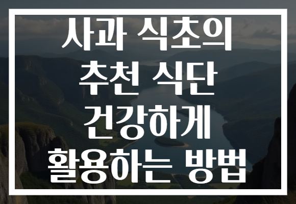 사과 식초의 추천 식단 건강하게 활용하는 방법