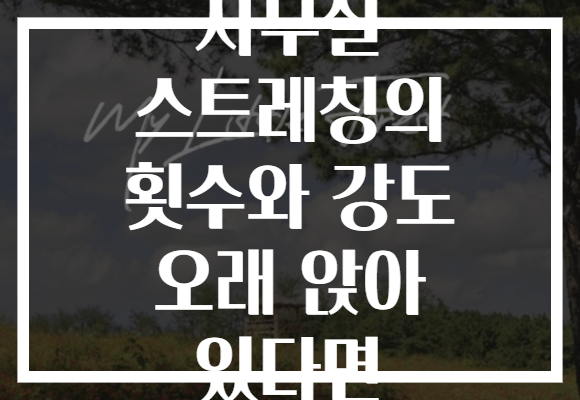 사무실 스트레칭의 횟수와 강도 오래 앉아 있다면