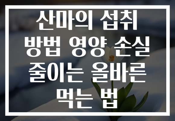 산마의 섭취 방법 영양 손실 줄이는 올바른 먹는 법