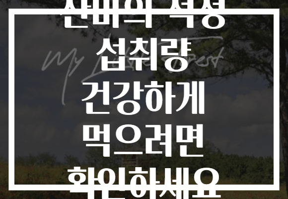 산마의 적정 섭취량 건강하게 먹으려면 확인하세요