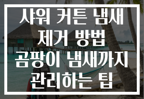 샤워 커튼 냄새 제거 방법 곰팡이 냄새까지 관리하는 팁