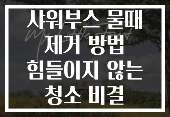 샤워부스 물때 제거 방법 힘들이지 않는 청소 비결