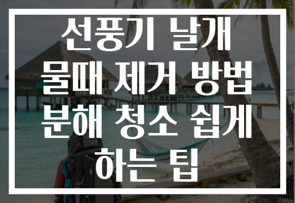 선풍기 날개 물때 제거 방법 분해 청소 쉽게 하는 팁