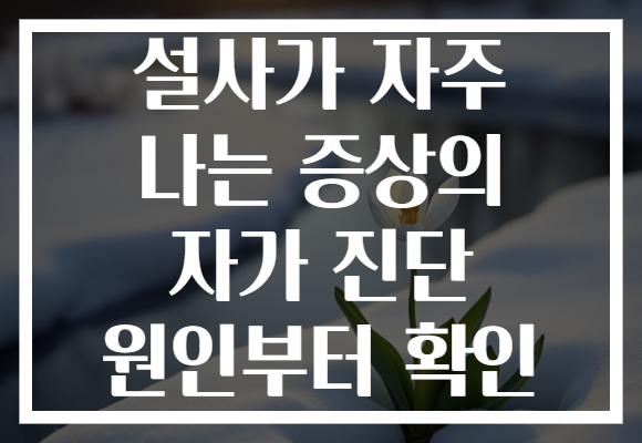 설사가 자주 나는 증상의 자가 진단 원인부터 확인