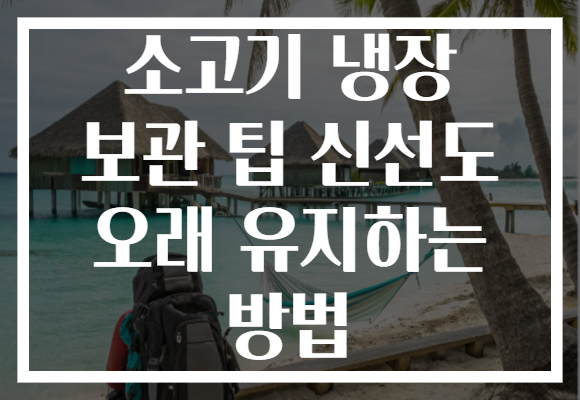 소고기 냉장 보관 팁 신선도 오래 유지하는 방법