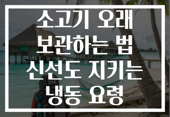 소고기 오래 보관하는 법 신선도 지키는 냉동 요령
