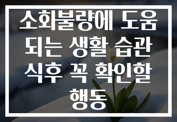 소화불량에 도움 되는 생활 습관 식후 꼭 확인할 행동