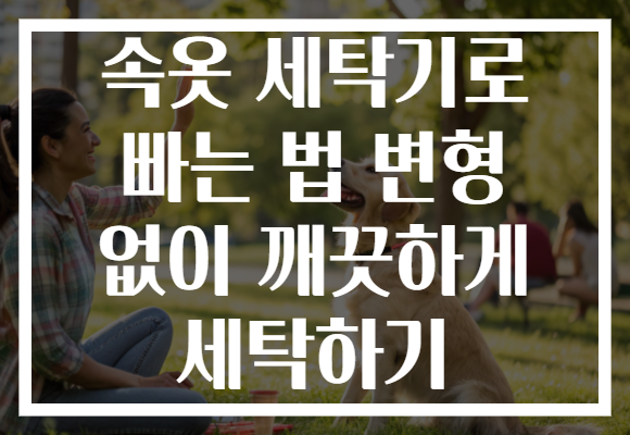 속옷 세탁기로 빠는 법 변형 없이 깨끗하게 세탁하기