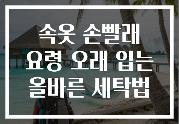 속옷 손빨래 요령 오래 입는 올바른 세탁법