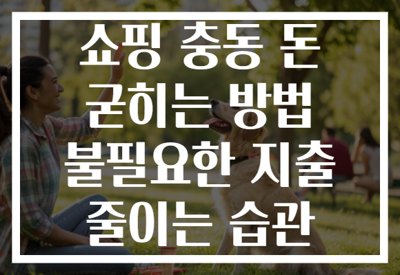 쇼핑 충동 돈 굳히는 방법 불필요한 지출 줄이는 습관