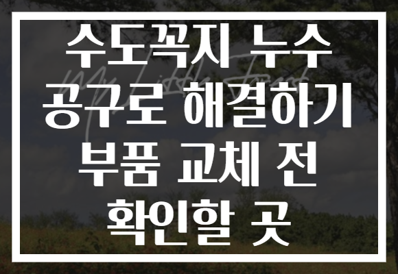 수도꼭지 누수 공구로 해결하기 부품 교체 전 확인할 곳