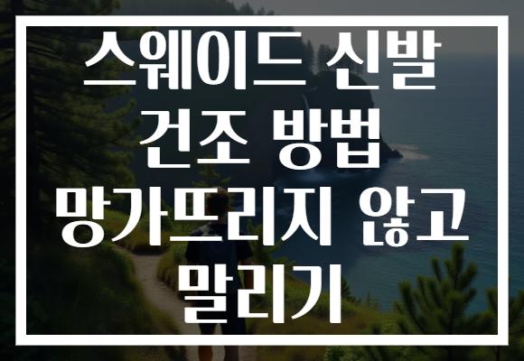 스웨이드 신발 건조 방법 망가뜨리지 않고 말리기