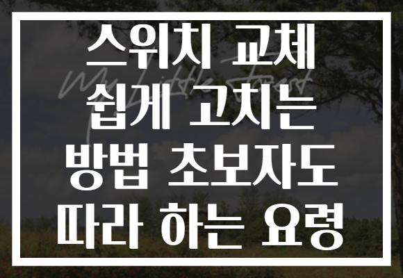 스위치 교체 쉽게 고치는 방법 초보자도 따라 하는 요령