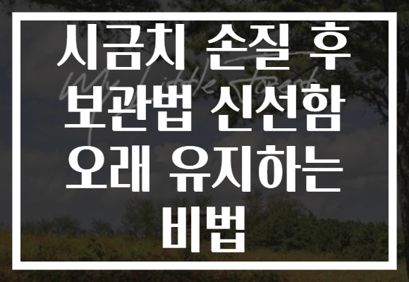 시금치 손질 후 보관법 신선함 오래 유지하는 비법