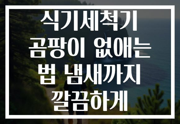 식기세척기 곰팡이 없애는 법 냄새까지 깔끔하게