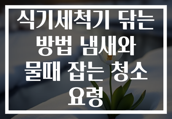 식기세척기 닦는 방법 냄새와 물때 잡는 청소 요령