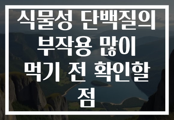 식물성 단백질의 부작용 많이 먹기 전 확인할 점