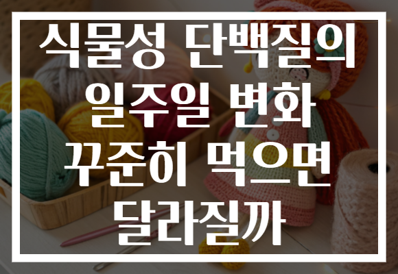 식물성 단백질의 일주일 변화 꾸준히 먹으면 달라질까