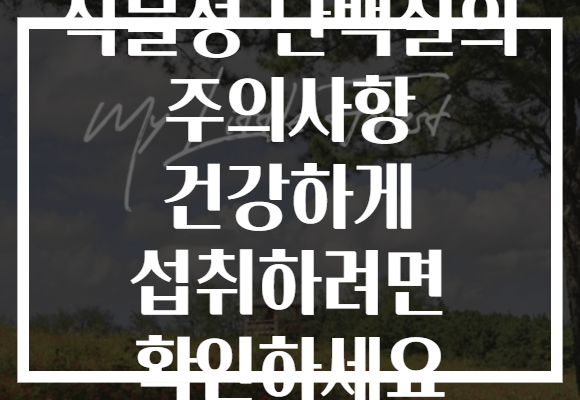 식물성 단백질의 주의사항 건강하게 섭취하려면 확인하세요