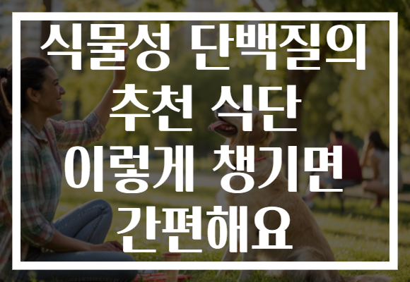 식물성 단백질의 추천 식단 이렇게 챙기면 간편해요
