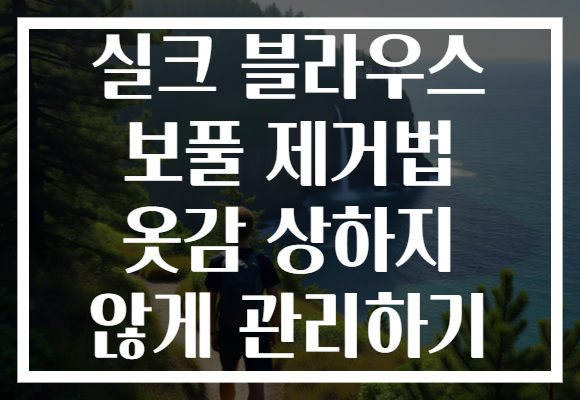 실크 블라우스 보풀 제거법 옷감 상하지 않게 관리하기