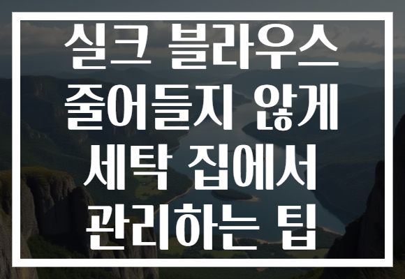 실크 블라우스 줄어들지 않게 세탁 집에서 관리하는 팁